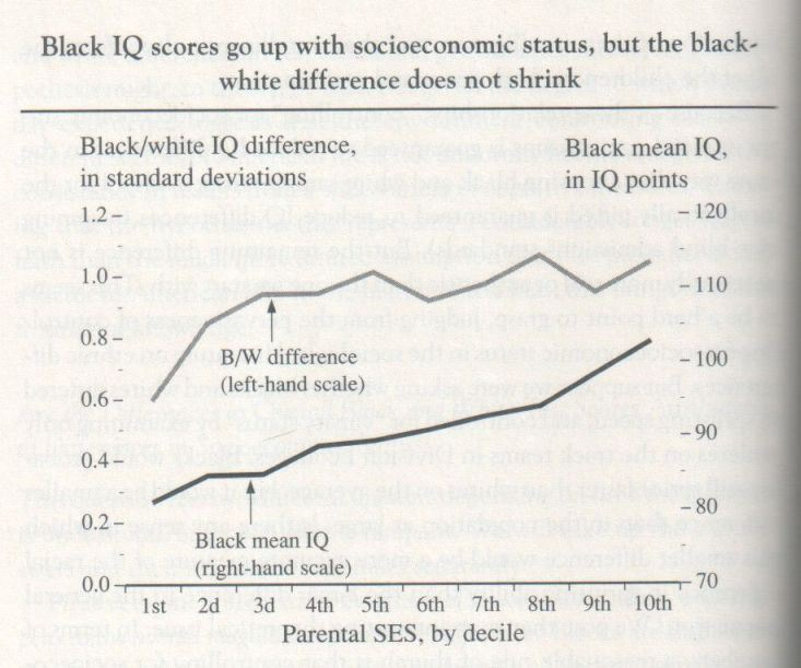 the-bell-curve-1994-herrnstein-and-murray-graph-p-288