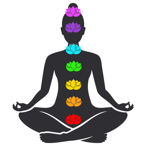 The image shows a silhouette figure in sitting meditation pose. Certain points in a vertical straight line from head to stomach is shown through flowers. The image is part of the article titled “How do I know if my Kundalini got activated?” authored by Anish Prasad and published at https://rationalastro.org