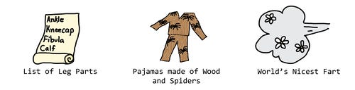 pajamas made of wood and spiders, world's nicest fart, list of leg parts