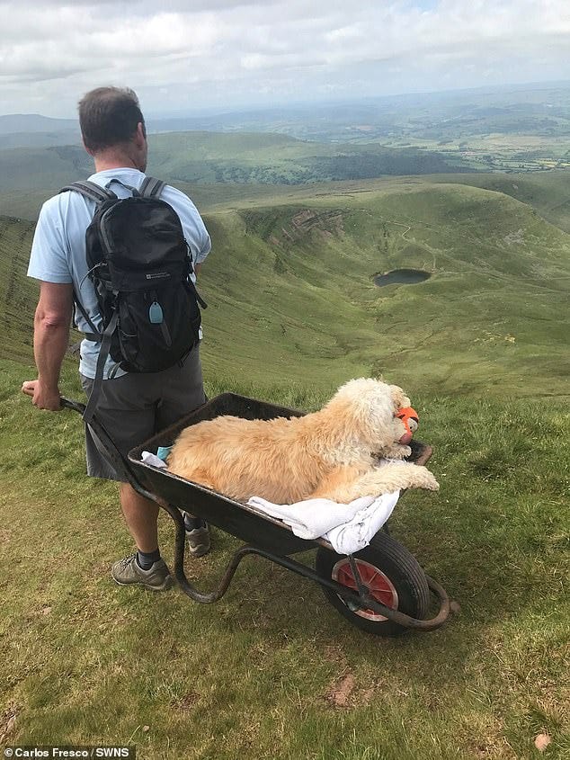 Carlos and Monty travelled up to the peak of Pen y Fan in the Brecon Beacons, Wales, where they had visited many times over the years - and even summited the three peaks