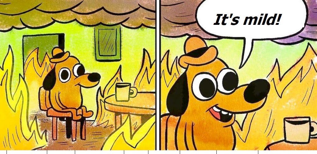 This is fine dog meme in 2 panels in the second panel the text bubble says It's Mild exclamation point