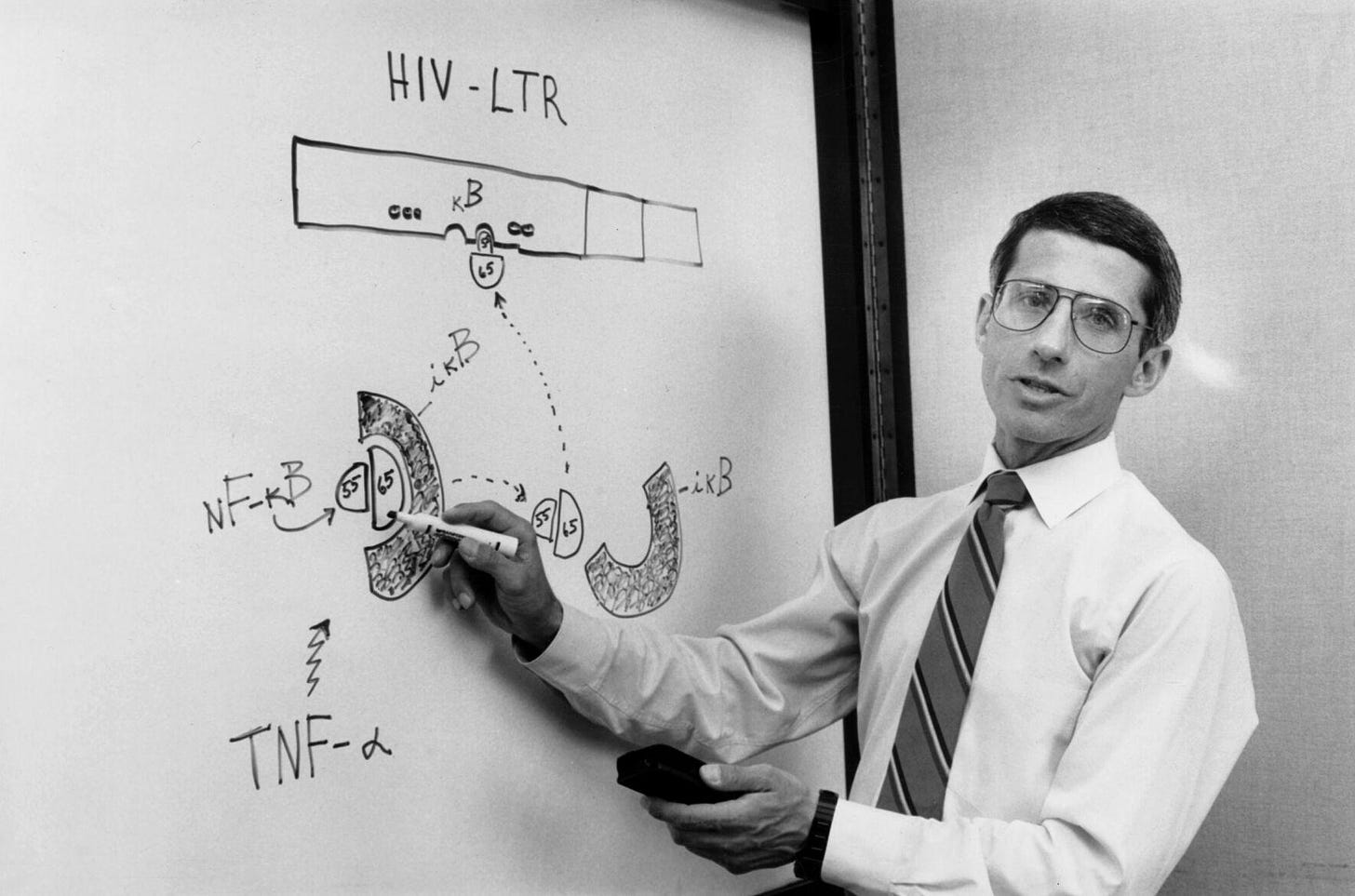40 years ago, the first cases of AIDS were reported in the ...