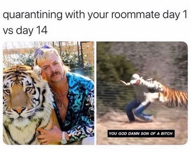 48 Of The Best Funny Tiger King Memes & Tweets