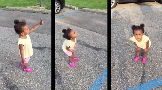 Video of a little girl counting to "five" and getting it wrong but also extremely right