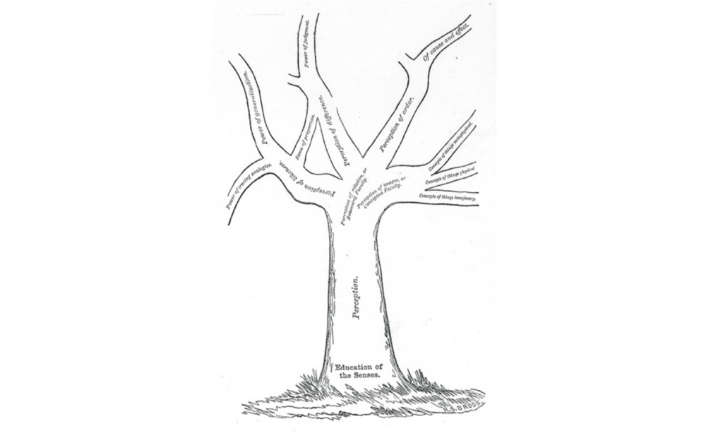 The goal of the object lesson, in tree form. Understanding of order and of cause and effect grow out of the senses. From Sheldon, Jones and Krusi,  A Manual of Elementary Instruction . (1862)