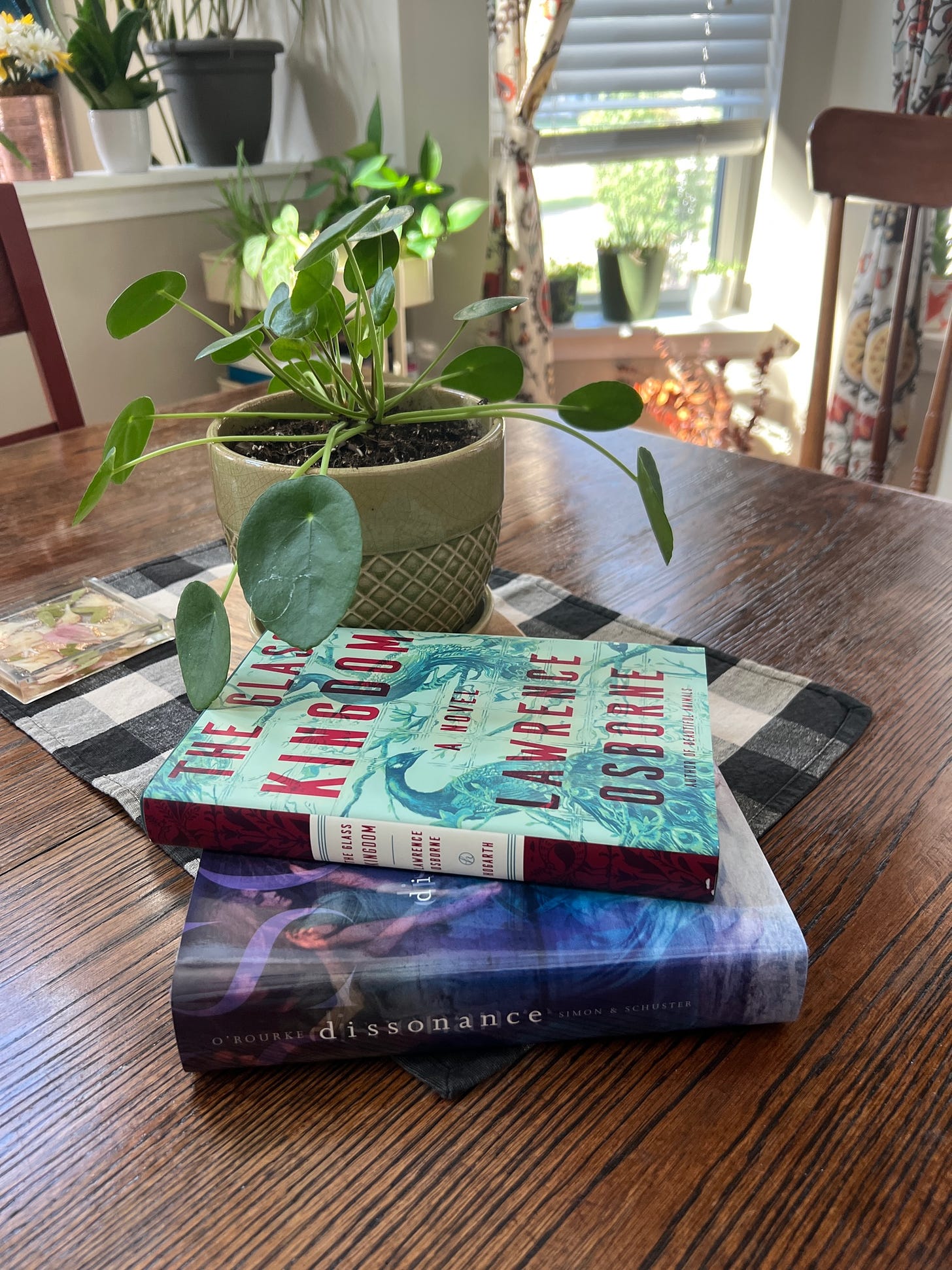 The books The Glass Kingdom and Dissonance sitting on a kitchen table with a pilea plant next to them. 