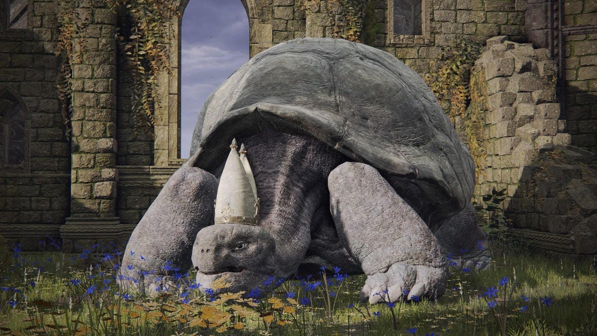 Elden Ring: Player Allegedly Kills Pope Turtle, Reddit Community Reacts