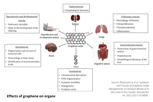 graphene effects on organs