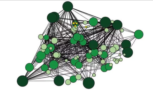 Foto retirada da palestra "As árvores falam uma com as outras", disponível on-line. Os pontos mais escuros são as árvores mais antigas; os pontos amarelos, são as árvores mais novas. O gráfico mostra a relação intrincada e rastreadas das árvores em uma floresta. Descrição: diversas bolas verdes, em diversos tons e tamanhos, preenchem a imagem. Entre elas, diversos fios pretos estabelecem conexões (são muitos mesmo). Em um ponto central da foto, alguns pontos amarelos e pequenos, uns 6, representam árvores menores.