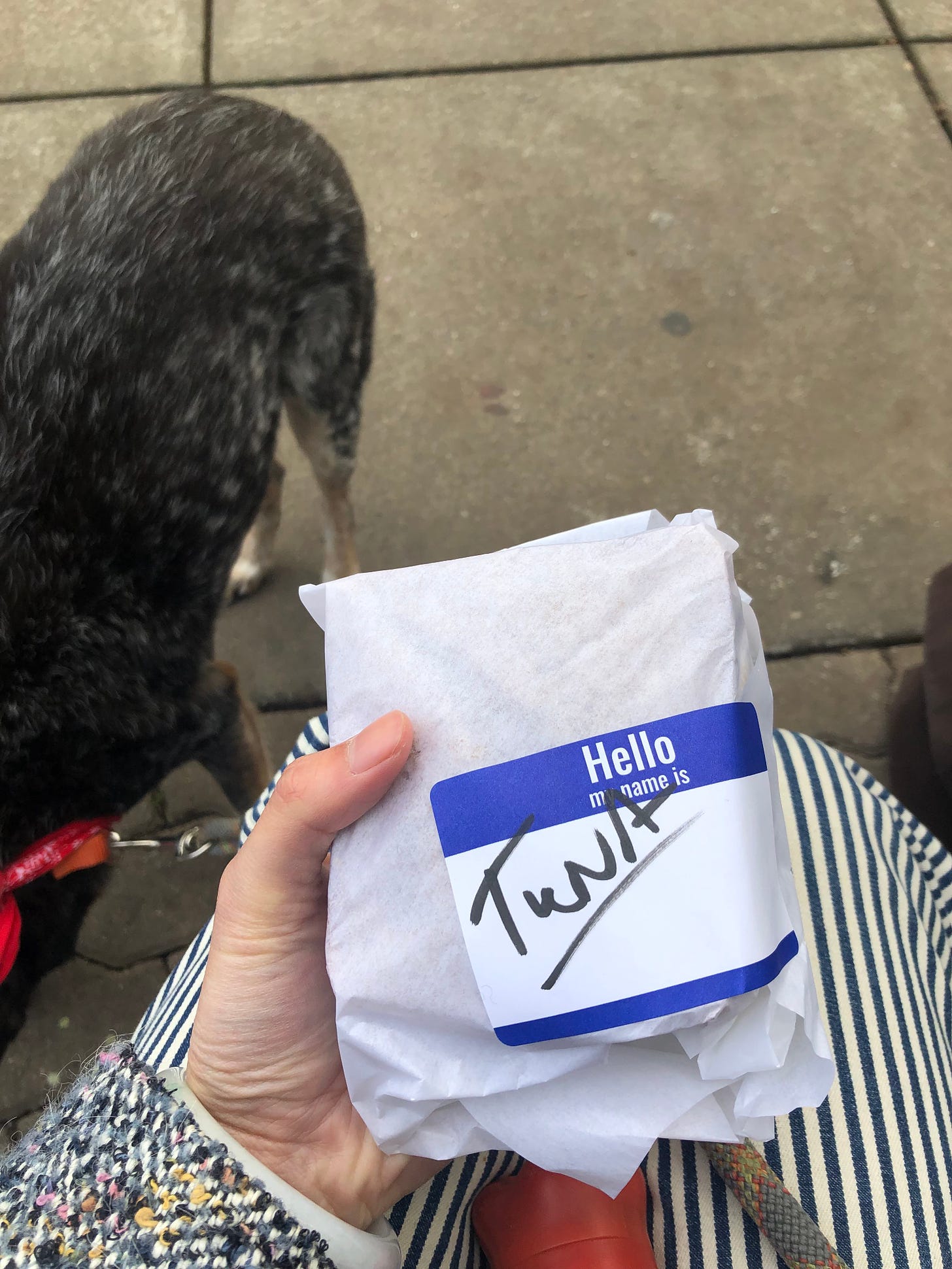 A hand holding a paper-wrapped sandwich with a label that reads "Hello my name is Tuna".