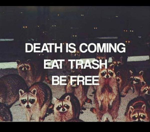 Death is Coming Eat Trash Be Free