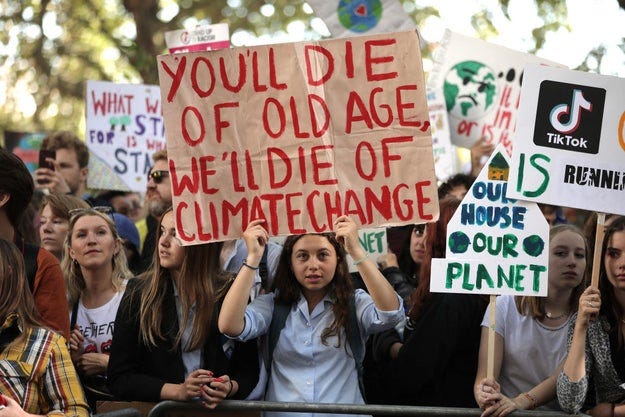 Here Are The Best, Most Creative, And Most Moving Global Climate Strike  Signs