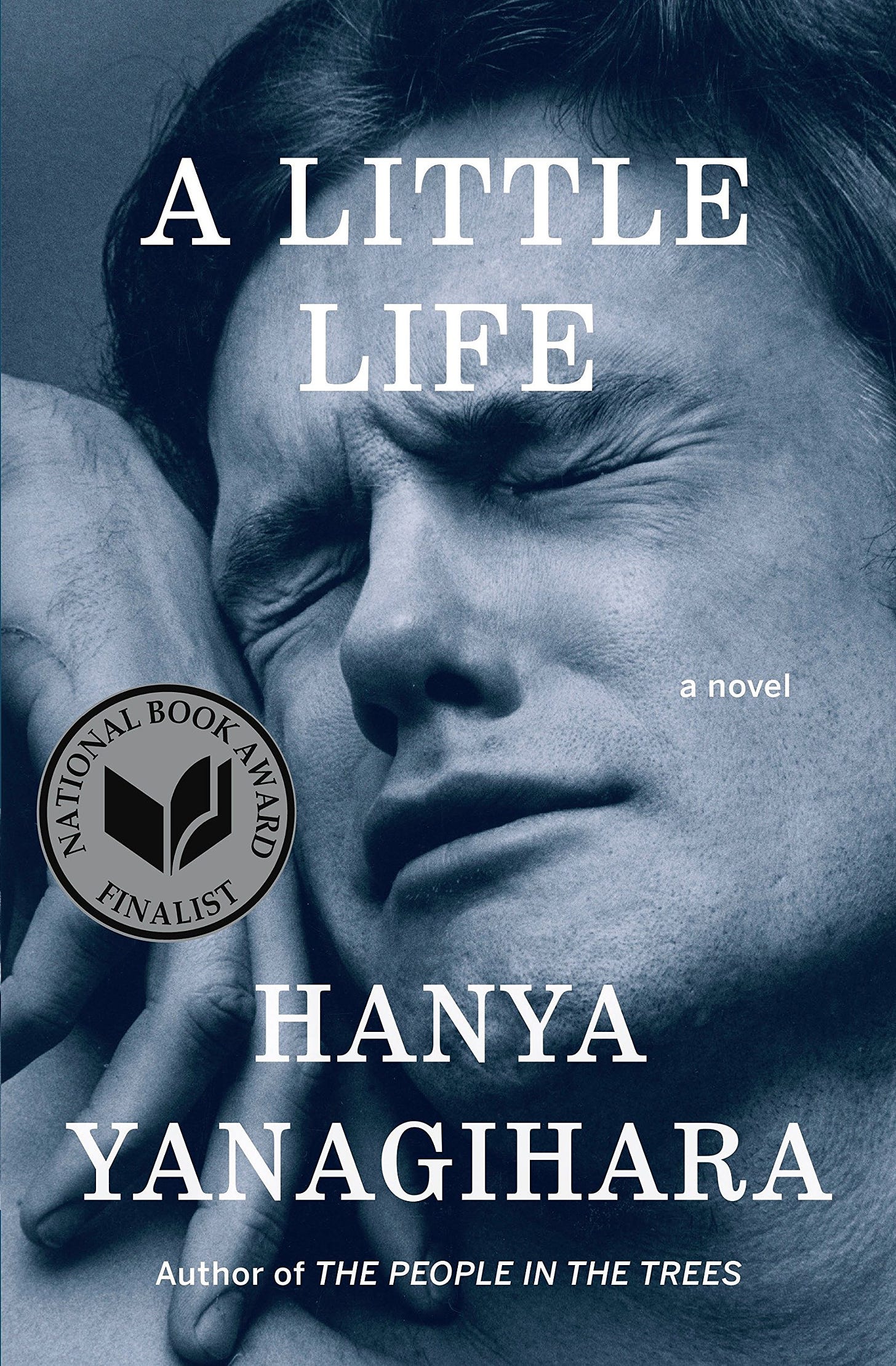 A Little Life: A Novel: Yanagihara, Hanya: 8601423597638: Books - Amazon.ca