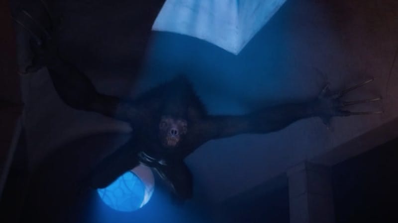 This image shows a Chagaska, a furry and razor-clawed monster, clinging to the ceiling of a fourteenth-century Syrian hospital in "Can You Hear Me?" (Doctor Who Series 12's seventh episode). This image shows a Chagaska, a furry and razor-clawed monster, clinging to the ceiling of a fourteenth-century Syrian hospital in "Can You Hear Me?" (Doctor Who Series 12's seventh episode).
