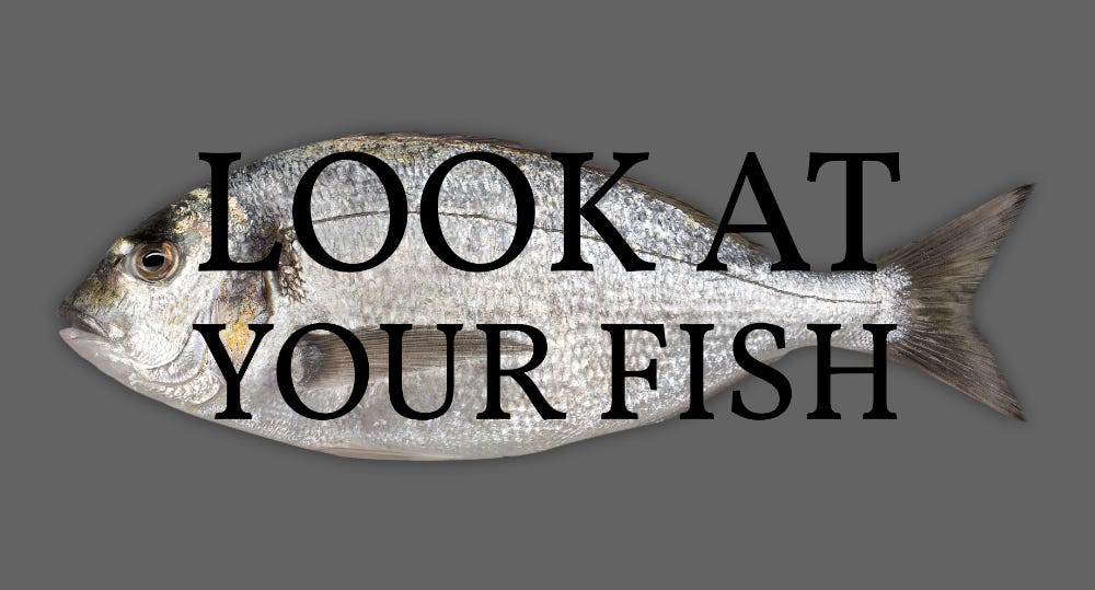 A photo of a fish (I don’t know what kind of a fish, I’m not a fish expert. It’s silvery and relatively flat-looking) on a dark gray background. The text “LOOK AT YOUR FISH” is set over the photo.