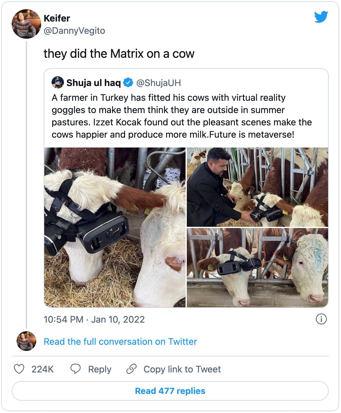 Tweet from @DannyVegito that says “they did the Matrix on a cow” and quotes a tweet from @ShujaUH that says “A farmer in Turkey has fitted his cows with virtual reality goggles to make them think they are outside in summer pastures. Izzet Kocak found out the pleasant scenes make the cows happier and produce more milk.Future is metaverse!” and has three pictures of what does indeed appear to be a cow wearing two VR headsets over its eyes. 