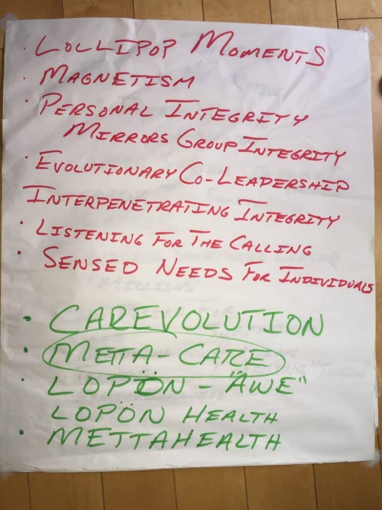Flipchart from early MettaCare meetings