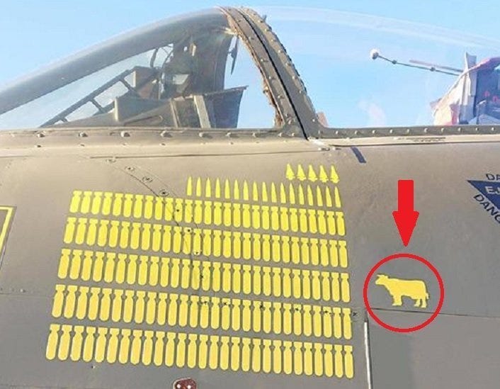 This A-10 Warthog BRRRRTTTTed a Cow during a CAS Mission - The Aviation  Geek Club