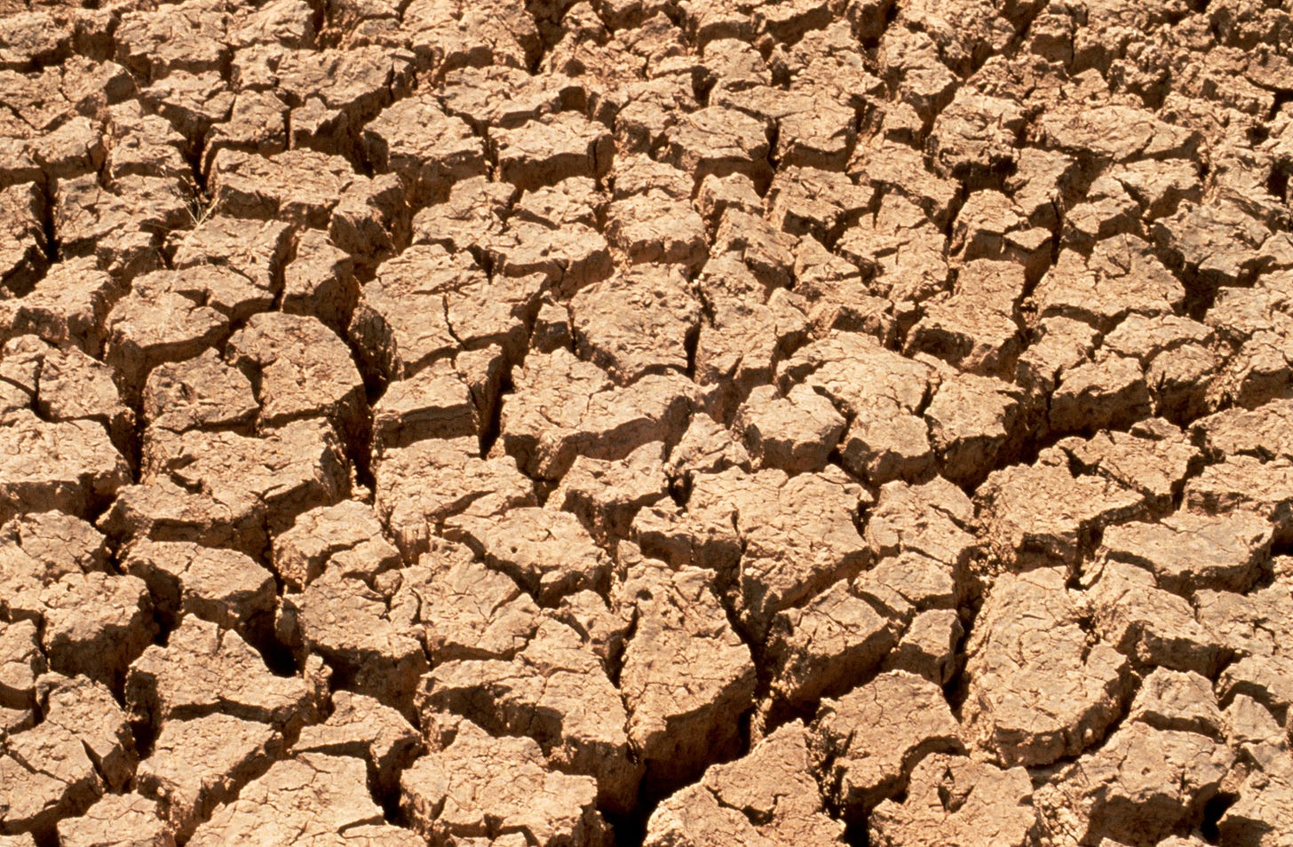 File:CSIRO ScienceImage 607 Effects of Drought on the Soil.jpg - Wikimedia  Commons