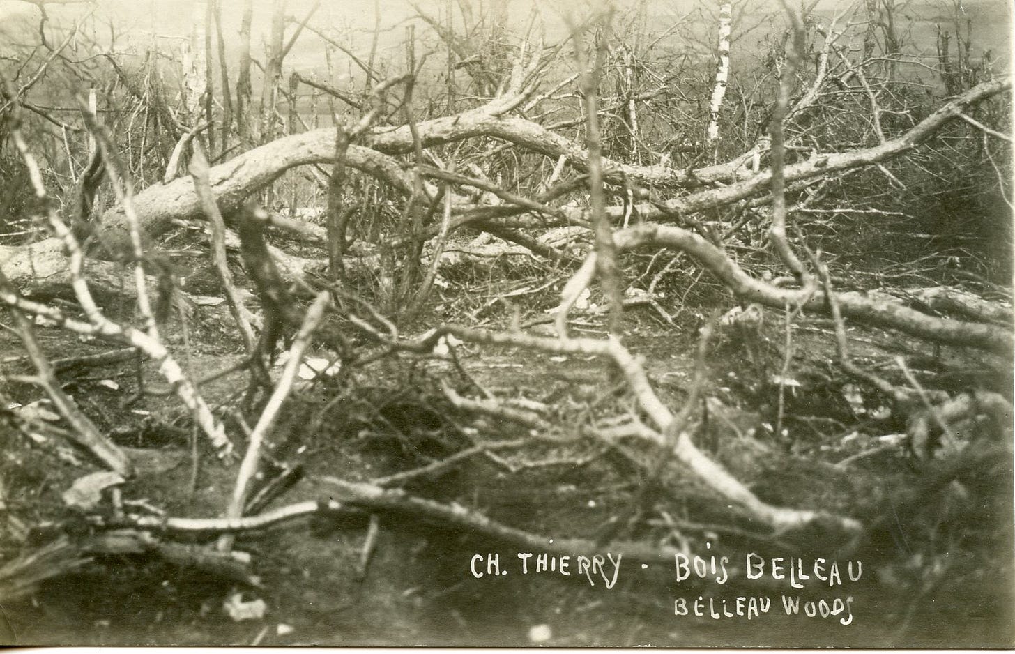 Aftermath of the fighting in Belleau Wood