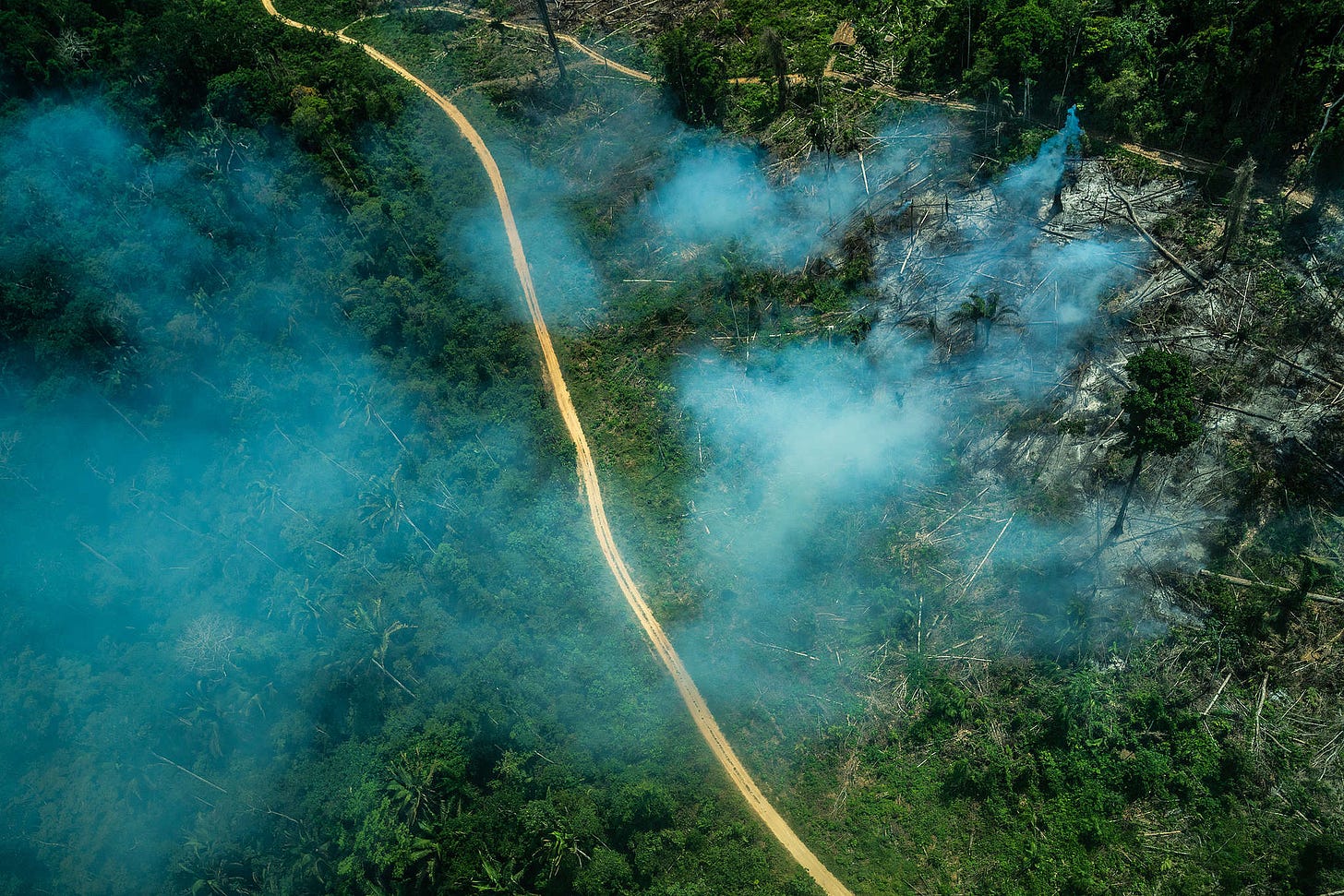 Ituna-Itatá: uma terra indígena da Amazônia tomada por ganância e  destruição - Greenpeace Brasil