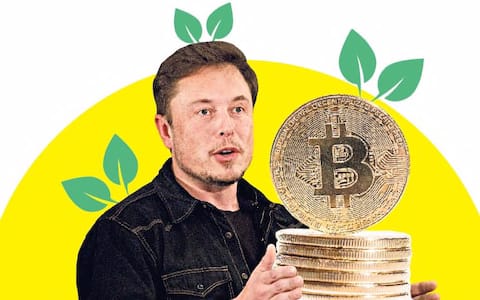 Chia: the 'green' cryptocurrency bounces on Elon Musk's Bitcoin U-turn