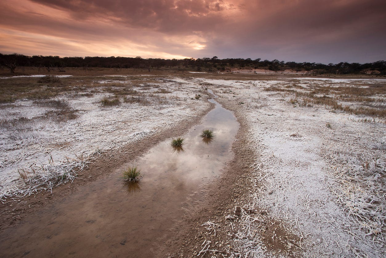 Saltpeter on the floor of a lagoon in a semi desert environment, La Pampa province, Patagonia, Argentina