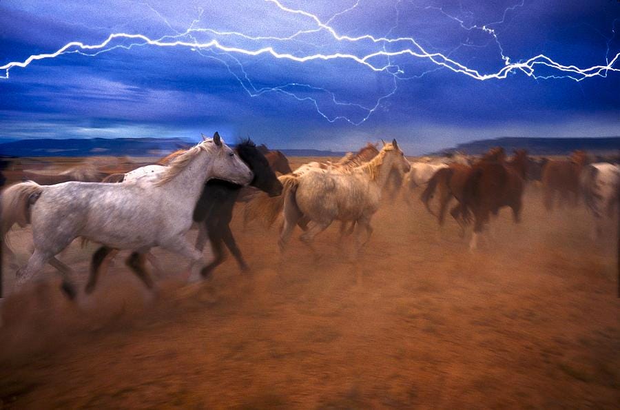from https://wildwestliving.com/collections/western-art/products/au9an0182-stampeding-horses-western-2-piece-gallery-wrapped-oil-painting