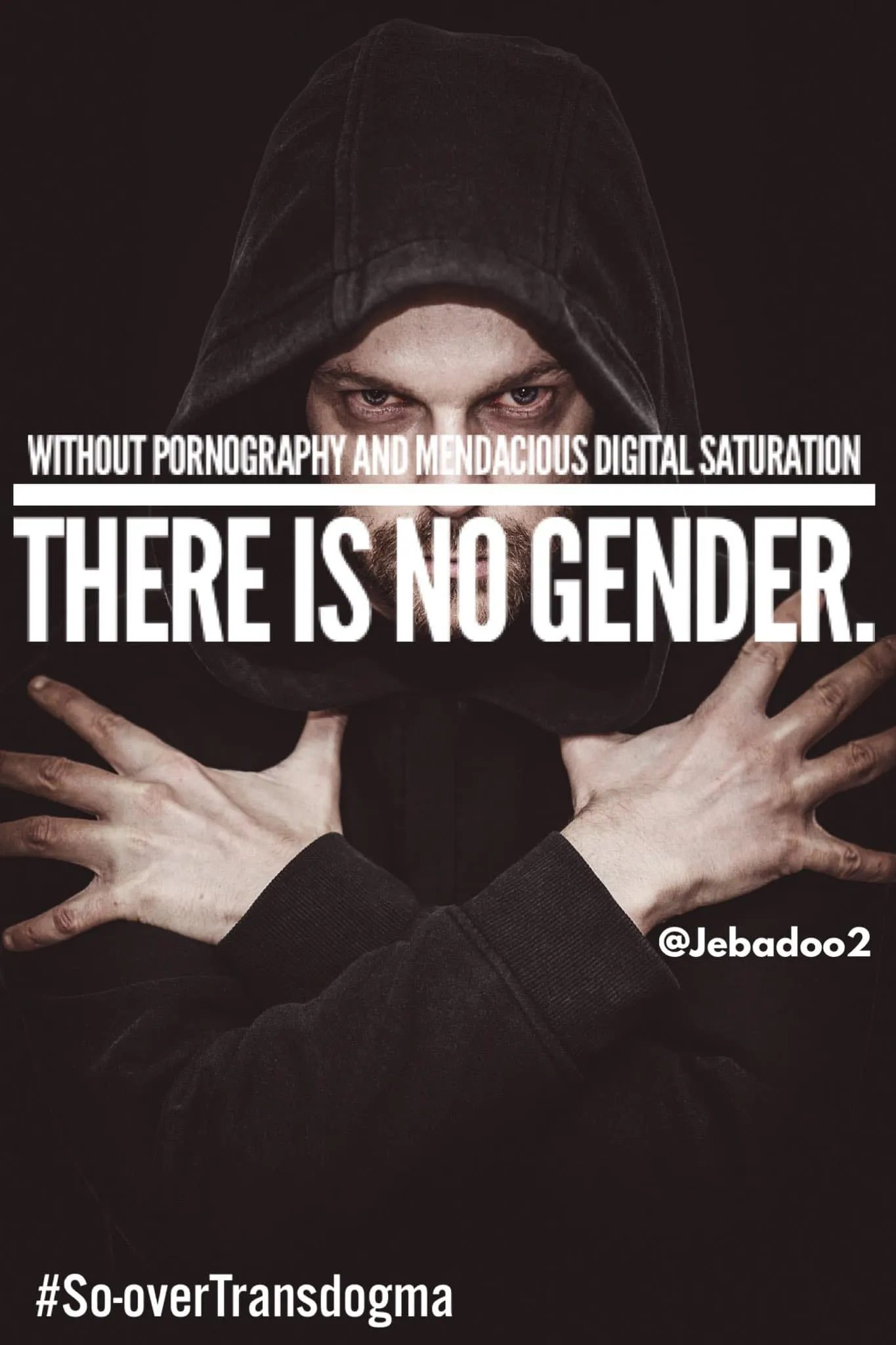 May be an image of 1 person and text that says 'WITHOUT PORNOGRAPHY AND MENDACIOUS DIGITAL SATURATION THERE IS NO GENDER. @Jebadoo2 #So-overTransdogma'