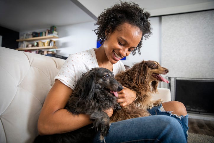 Pet Ownership Disputes Couples Have | Page 5 | MadameNoire