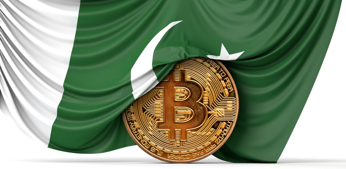 Pakistan central bank urges ban on crypto - Crypto Daily™