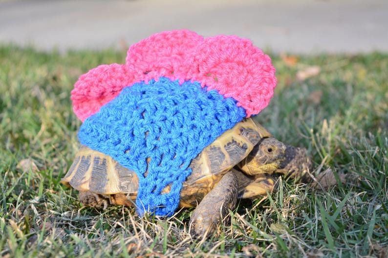 Tortoise Sweater-Stegatortoise image 0
