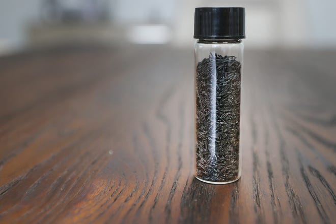 Rice hulls that have been dried and turned into activated carbon at Memphis-area startup Glanris, where the product can be used to filter water, turning a previously discarded bio-waste into valuable tool for water conservation.