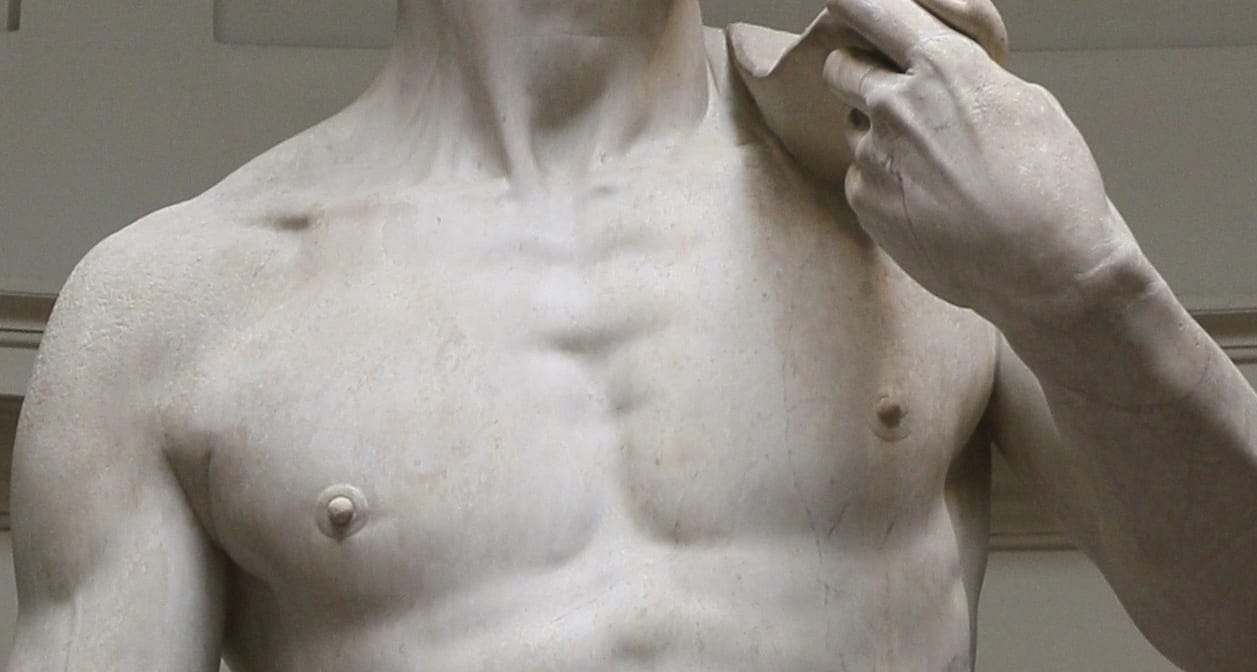 the breast of Michelangelo's "David"