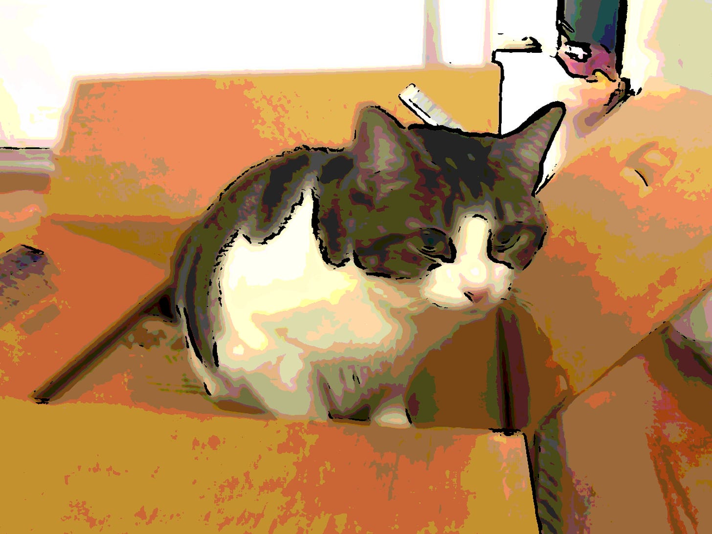 My cat Stevie sitting in a cardboard box. Photo uses a cartoon filter.