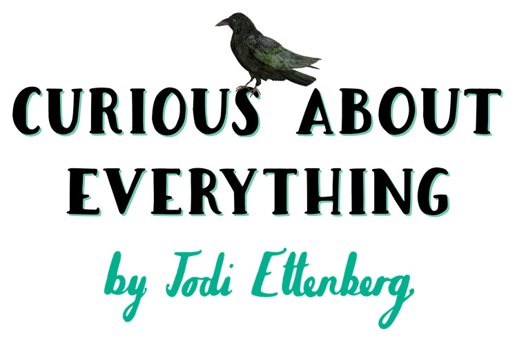 Curious About Everything: a newsletter by Jodi Ettenberg