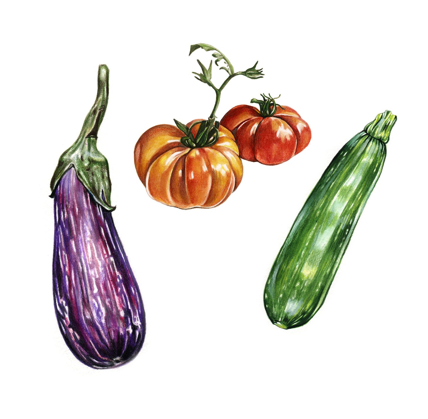 A watercolor painting of a purple eggplant, two red tomatoes on the vine, and a green zucchini, all centered next to one another