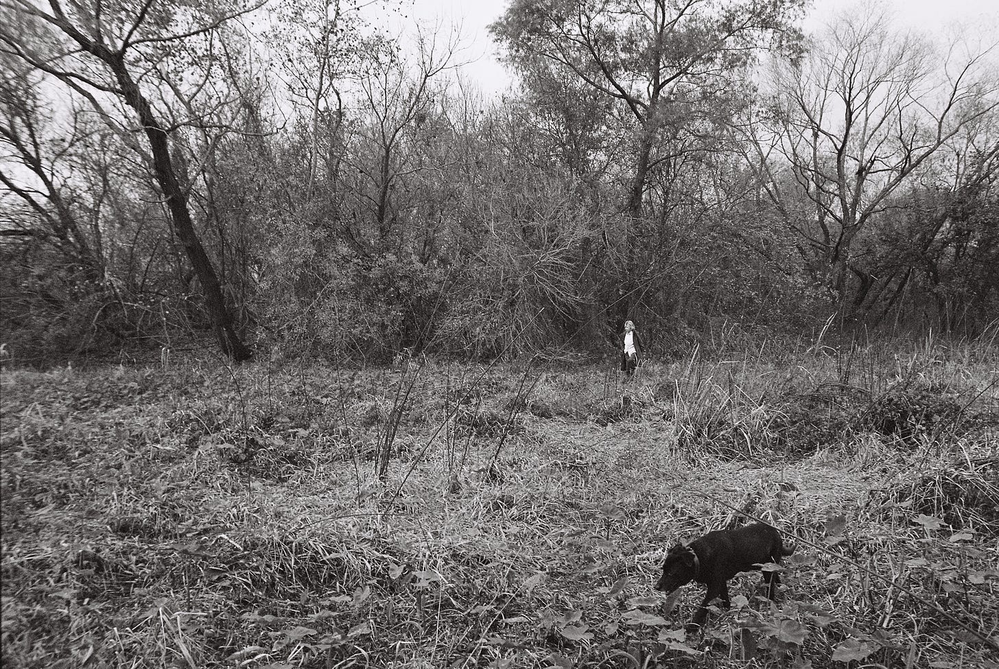 Black and white photo of an elderly woman and black hound dog walking in a wetland