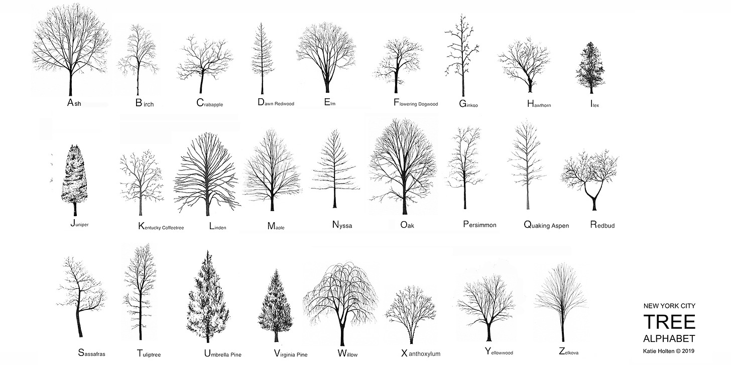 Katie Holten. New York City Tree Alphabet 2019. wide.jpg