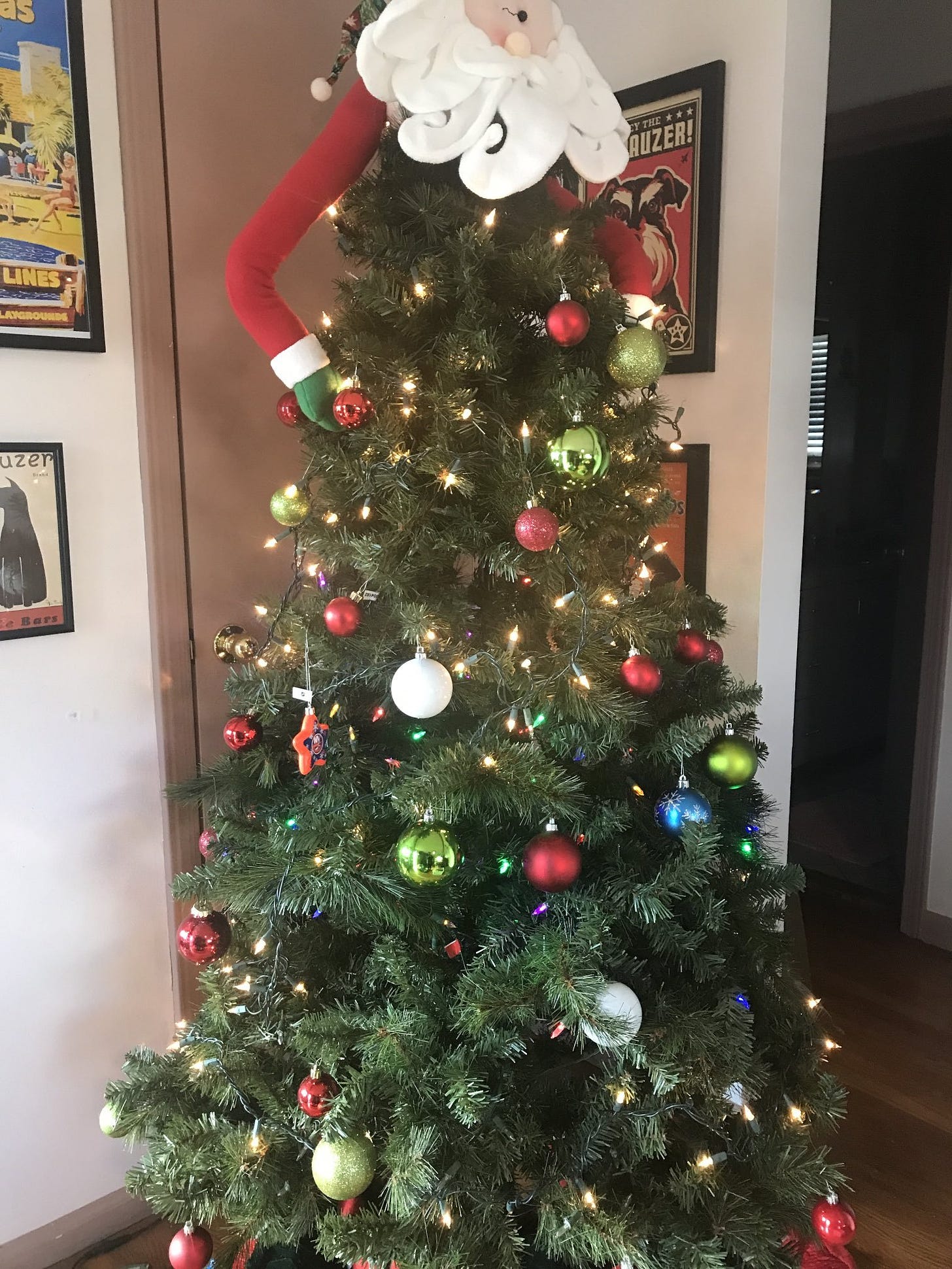 May be an image of christmas tree and indoor