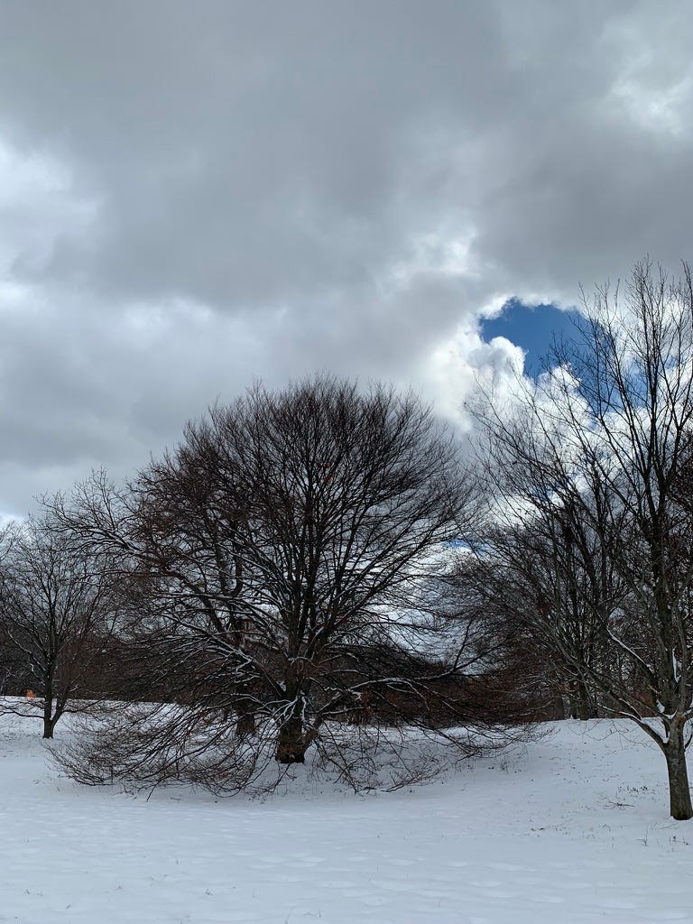 A bare tree outlined against a mostly cloud covered sky, with a small patch of blue peeking through.