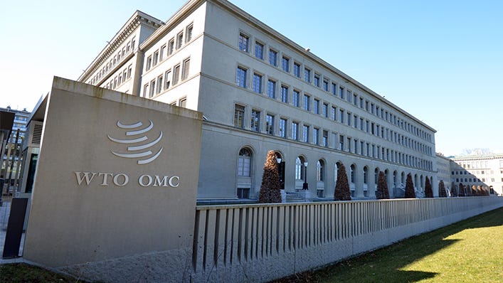 WTO | 2020 News items - Nigeria nominates Dr Ngozi Okonjo-Iweala for post  of WTO Director-General