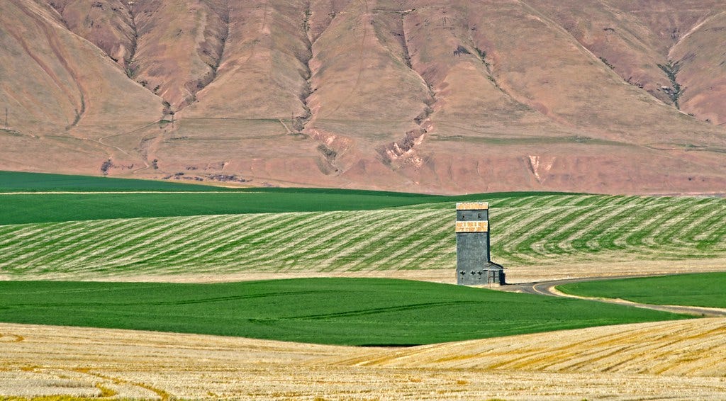 Wheat Fields Grain Elevator Columbia River Gorge 7600 A