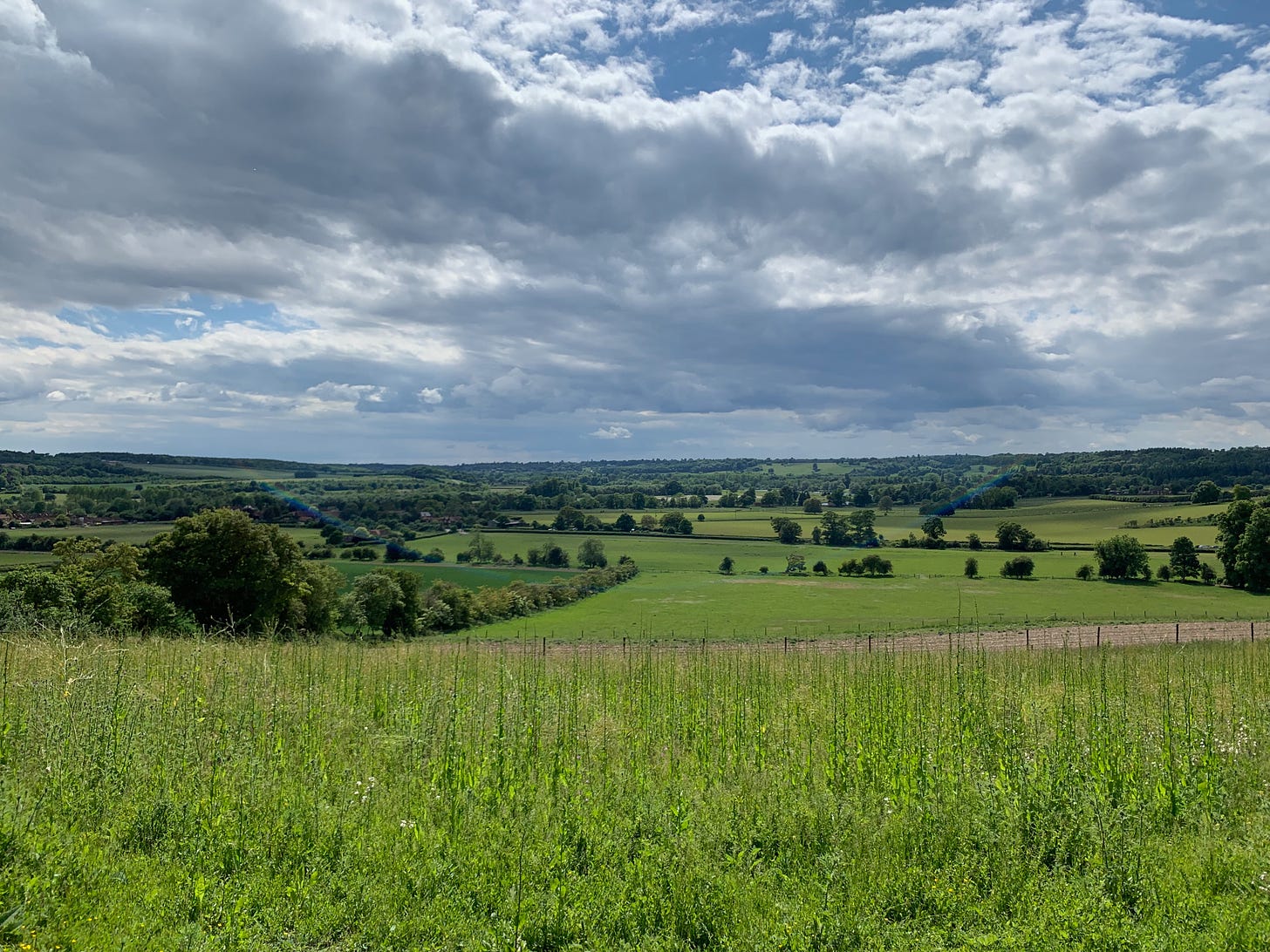 a view across the Chilterns