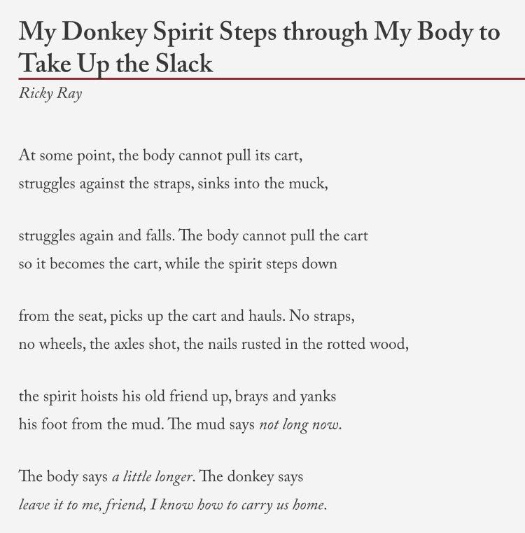 Screenshot of a poem by Ricky Ray.