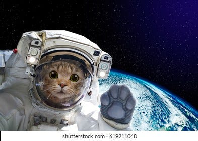 Funny Space Images, Stock Photos &amp; Vectors | Shutterstock