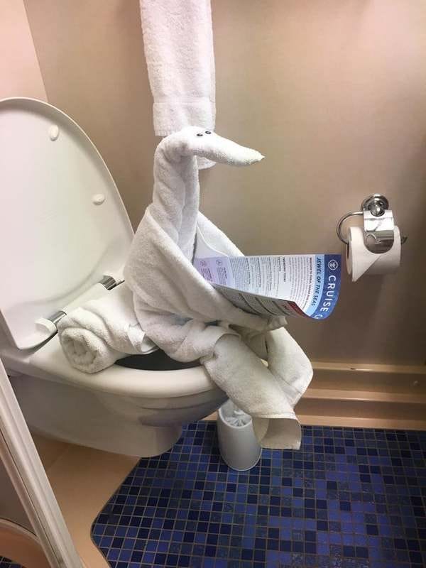 Towel animal left by the hotel staff - Credit: Reddit/u/OyeSimpson