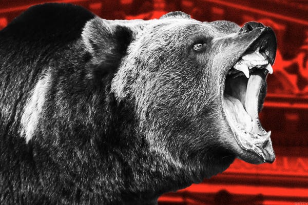 It's Official: That Hairy Animal With Claws and Sharp Teeth Is a Bear -  RealMoney