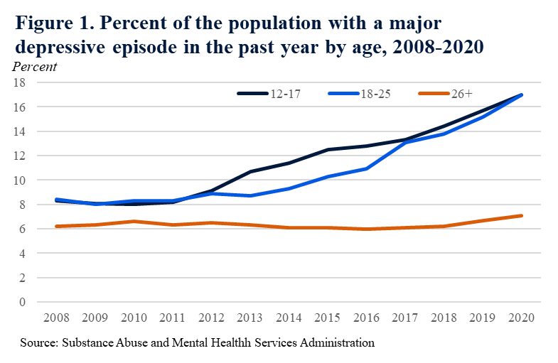 Reducing the Economic Burden of Unmet Mental Health Needs - CEA - The White  House