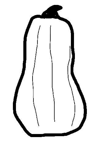 squash